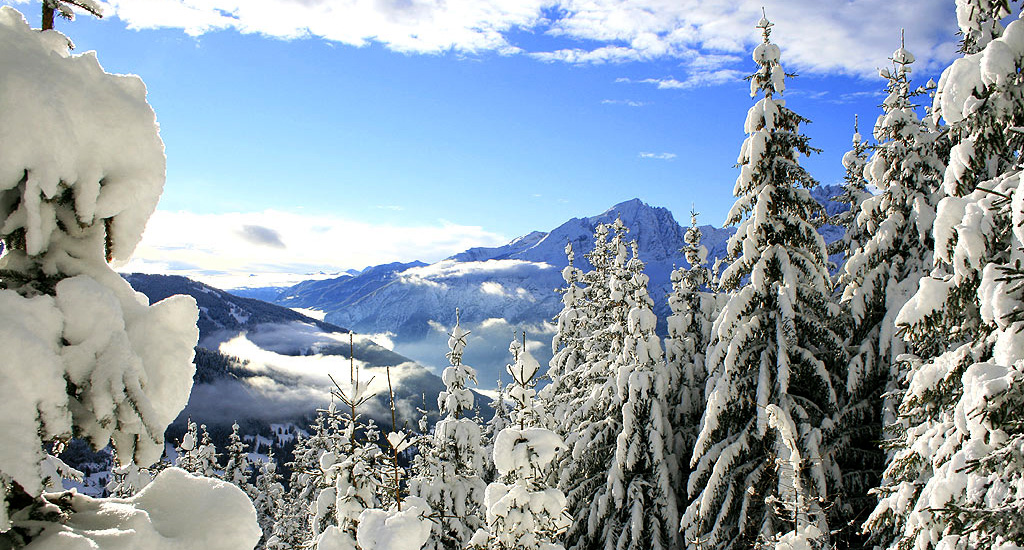 Tiefverschneite Osttiroler Winterlandschaft - Ferienwohnungen Sporer