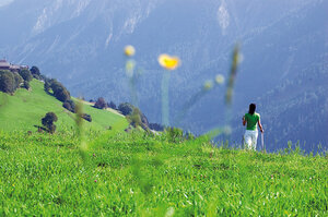 Nordic Walking in unberührten Wiesen - Ferienwohnung Sporer Iselsberg