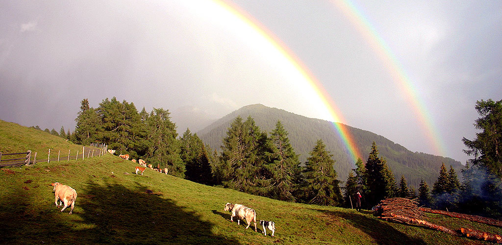 Regenbogen vor dem Ederplan - Ferienhaus Sporer Iselsberg