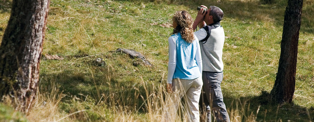 Nationalpark Hohe Tauern - Ferienwohnungen Sporer Iselsberg