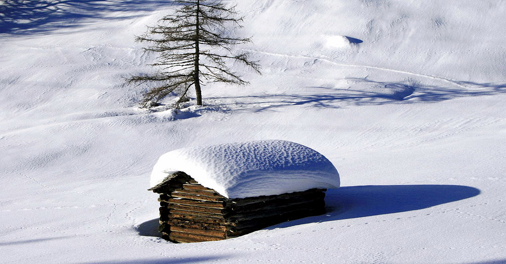Schneeschuh wandern in verträumter Winterlandschaft - Ferienwohnung Sporer Lienz